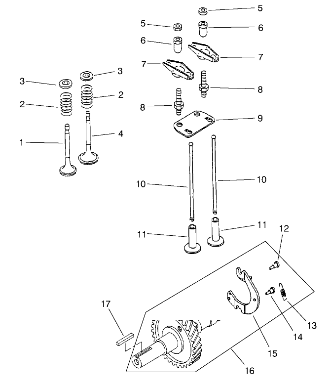 Engine Camshaft & Valves Assembly