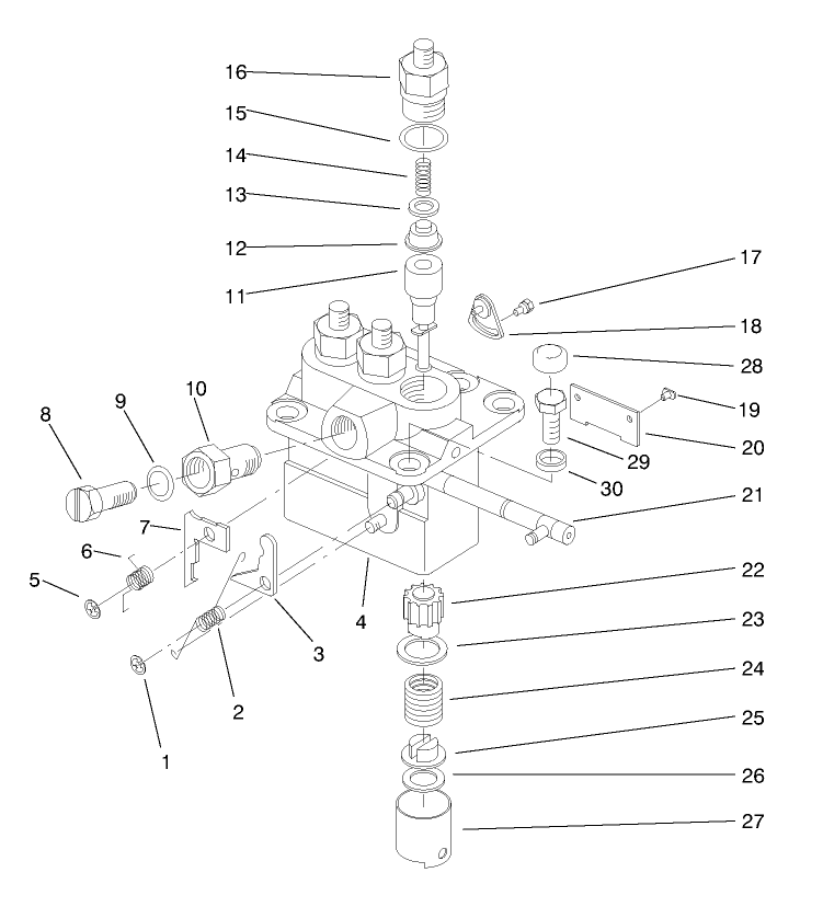Fuel Injection Pump Assembly